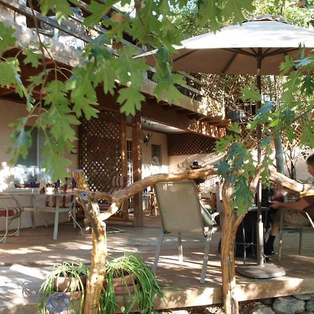 Wikiup Hummingbird Hotel Julian Dış mekan fotoğraf